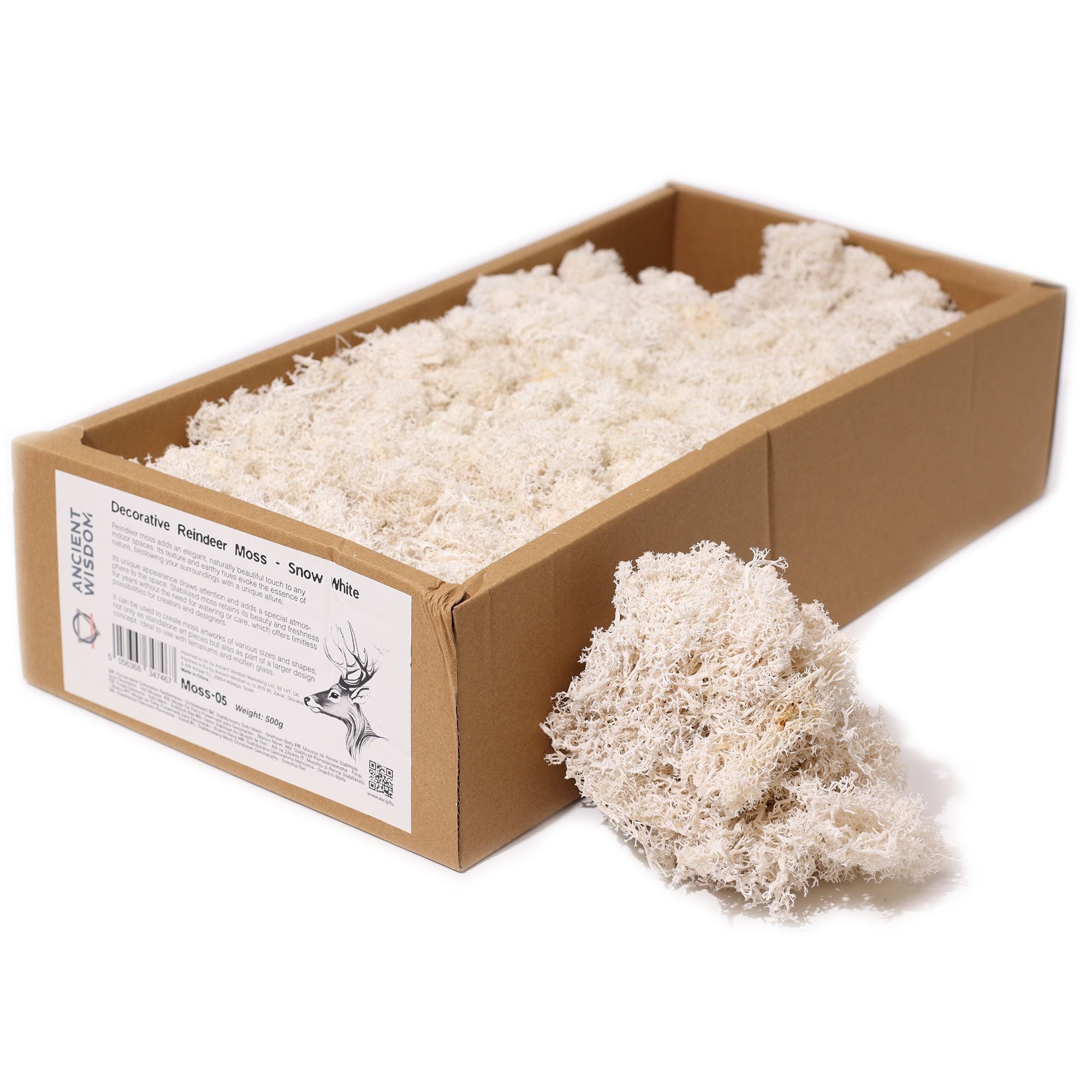 Decorative Reindeer Moss Snow White – 1st Grade Preserved Moss for Crafts UK