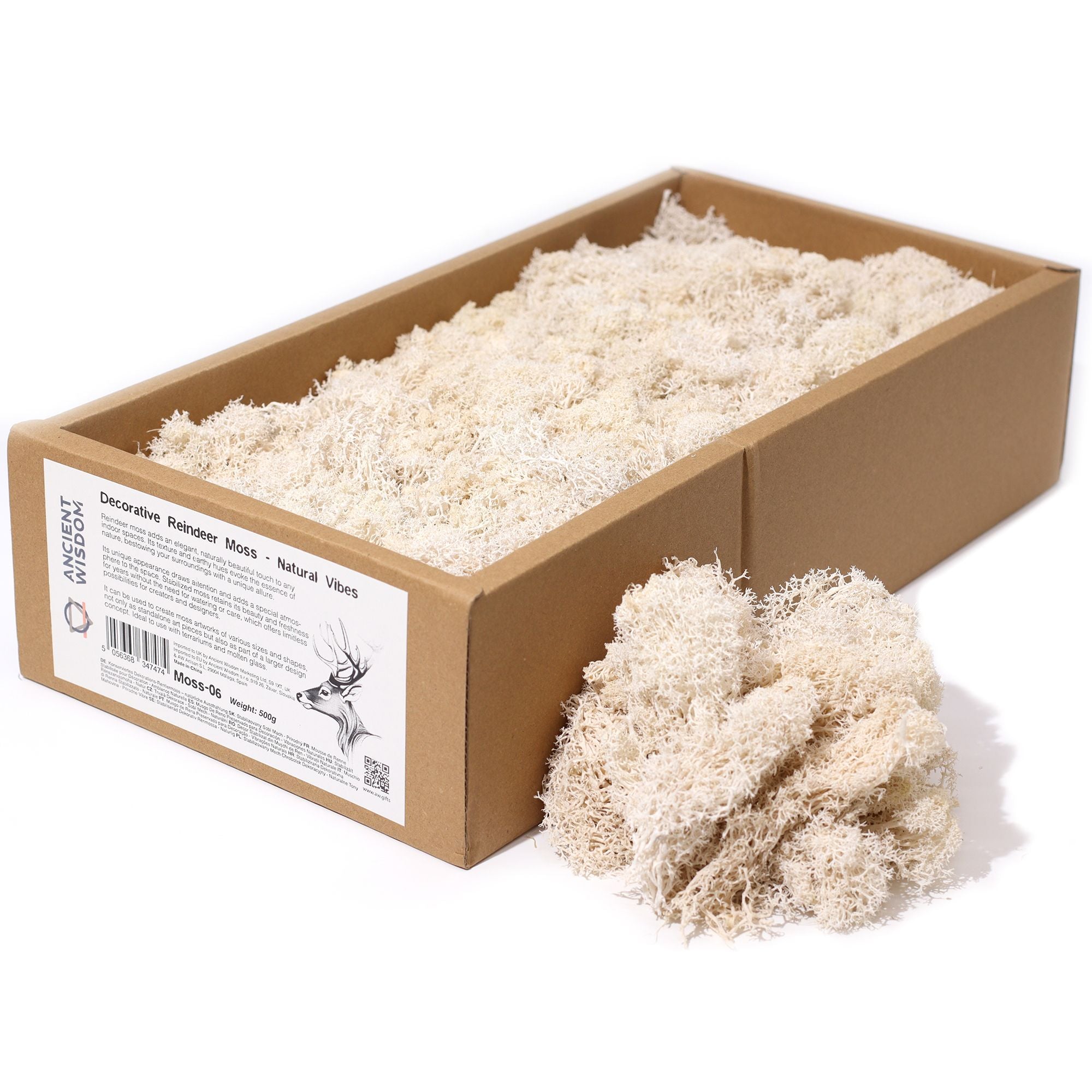 Decorative Reindeer Moss Natural Vibes – 1st Grade Preserved Moss for Crafts UK