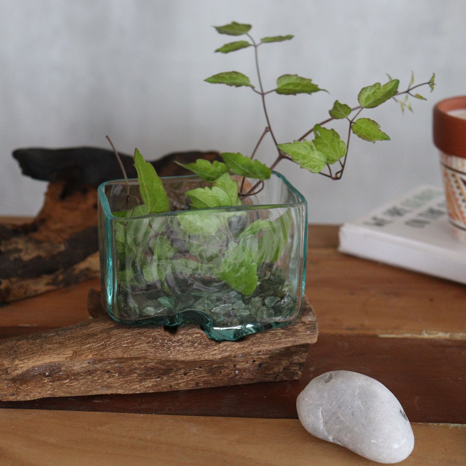 Handmade Molten Glass Tank Vase on Natural Wood – Unique Home Decor UK