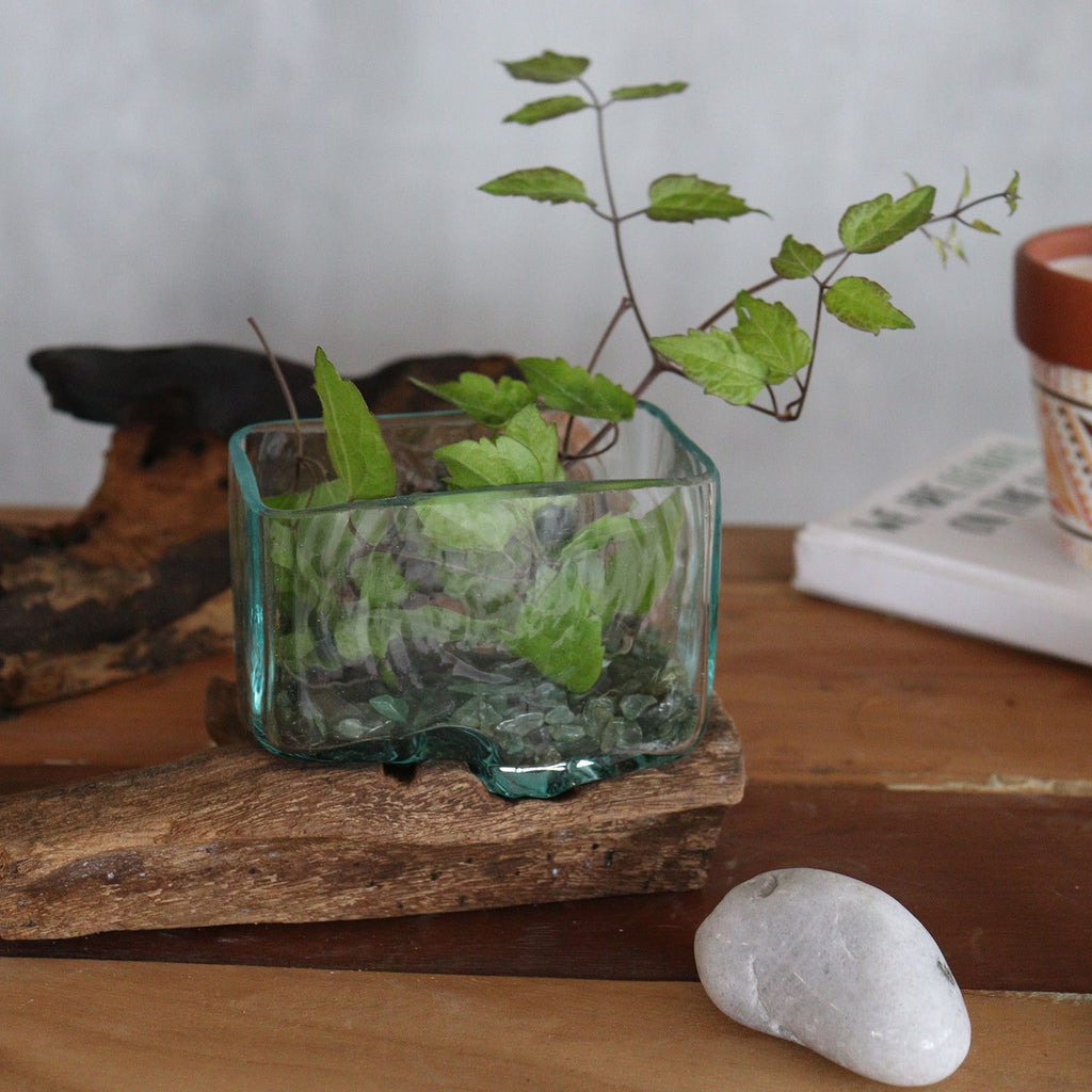 Handmade Molten Glass Tank Vase on Natural Wood – Unique Home Decor UK