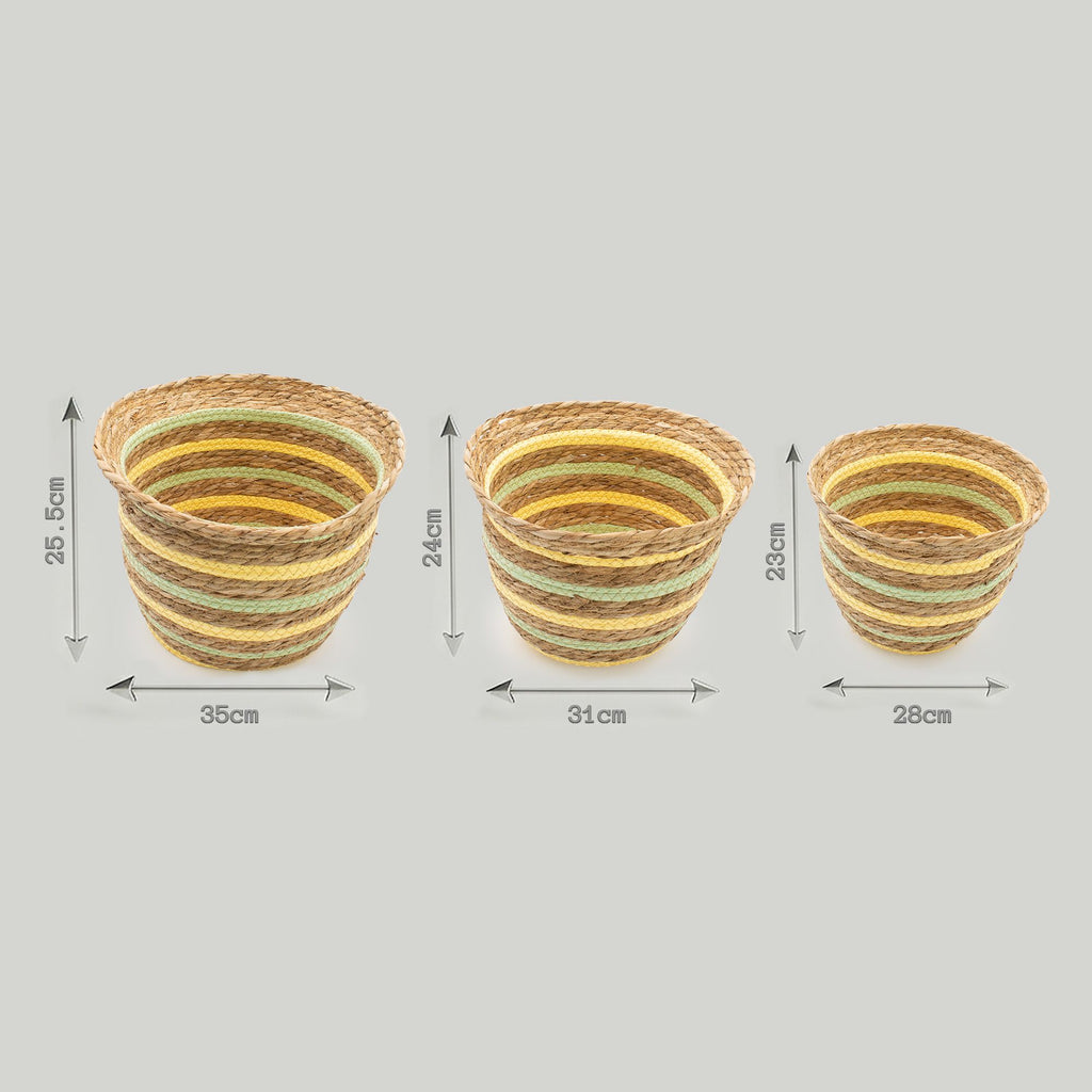 Set of 3 Vase Shaped Seagrass & Straw Baskets – Natural, Yellow & Green – Woven Storage Baskets