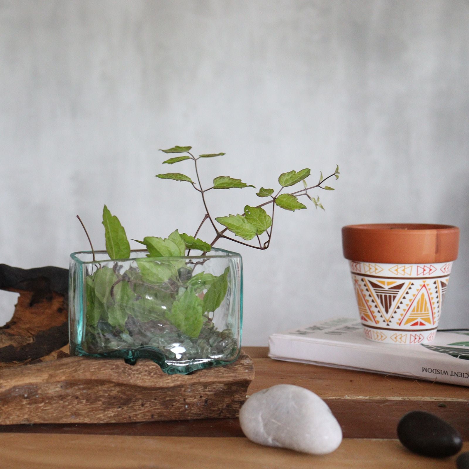 Handmade Molten Glass Tank Vase on Natural Wood – Unique Home Decor UK