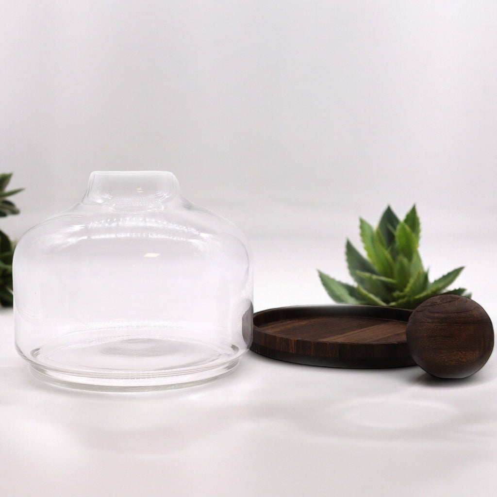 Ex-Large Ball Top Terrarium on Dark Tung Wood