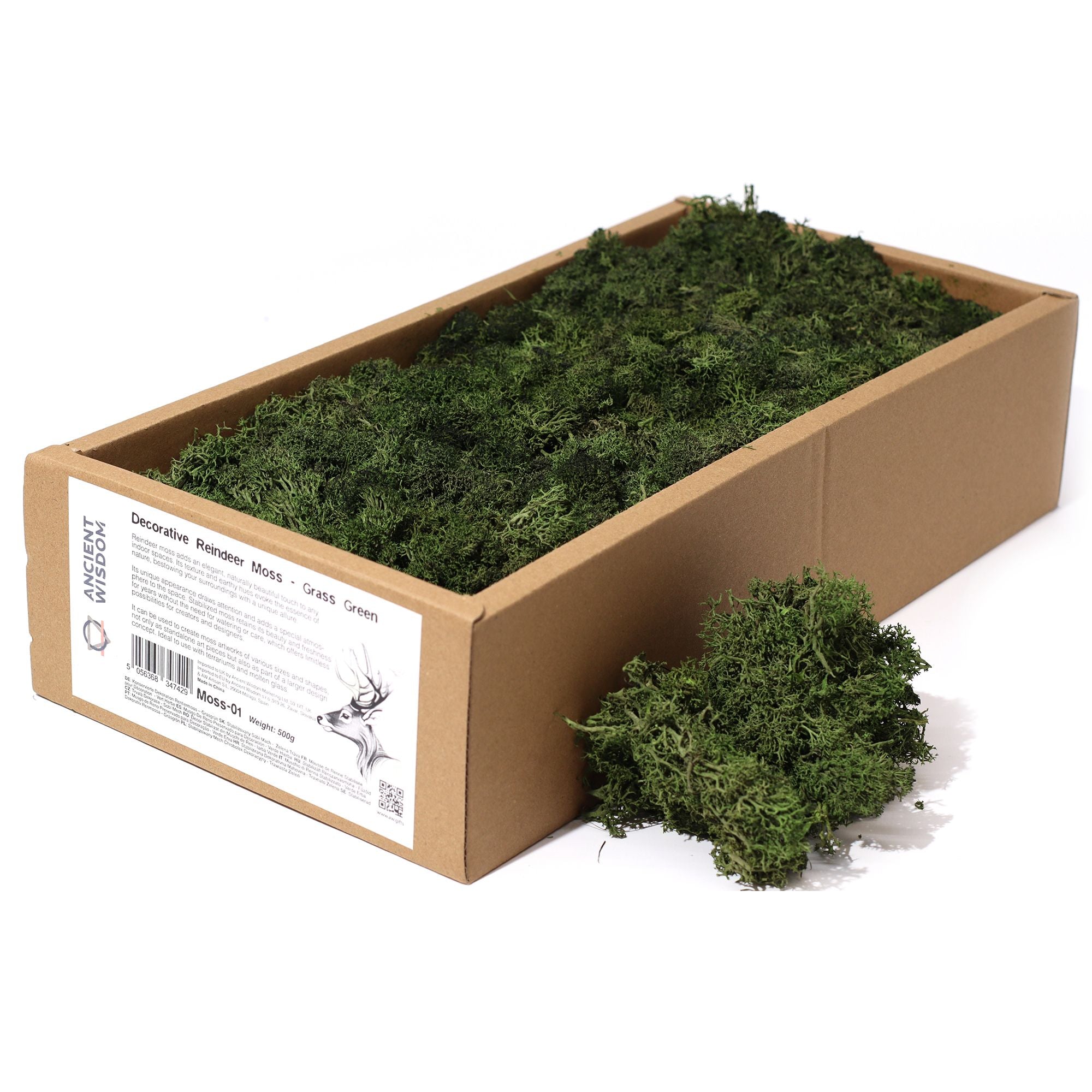 Decorative Reindeer Moss Grass Green – 1st Grade Preserved Moss for Crafts UK