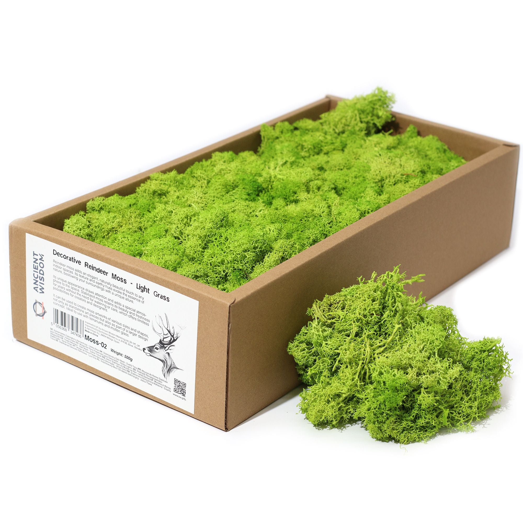 Decorative Reindeer Moss Light Grass – 1st Grade Preserved Moss for Crafts UK