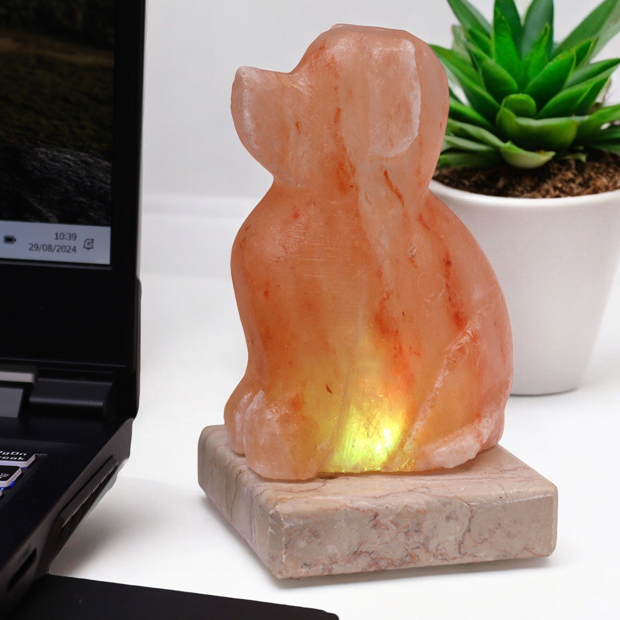 USB Dog Shaped (Multi) USB connector which  is 150 cm long