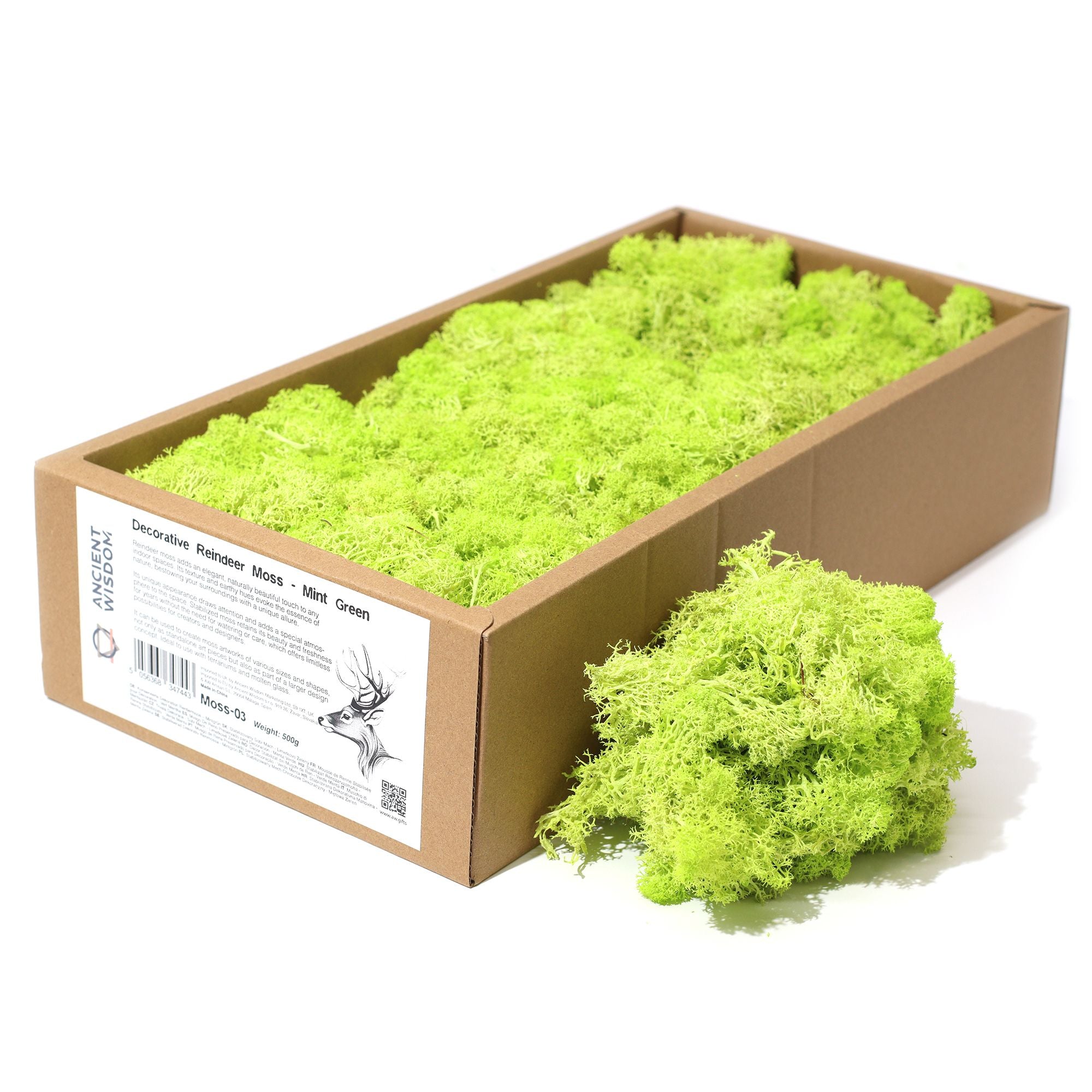 Decorative Reindeer Moss Mint Green – 1st Grade Preserved Moss for Crafts UK