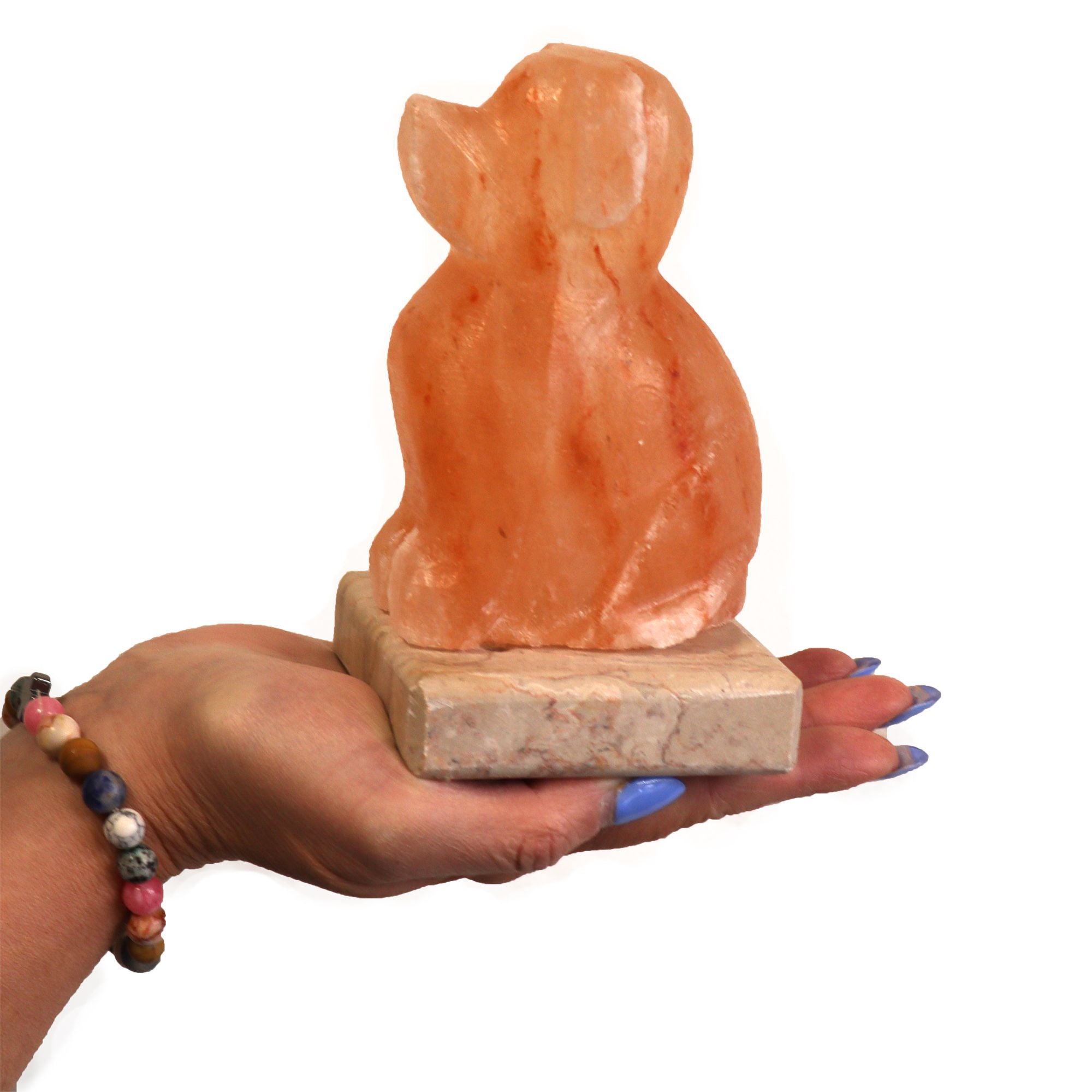 USB Dog Shaped (Multi) USB connector which  is 150 cm long