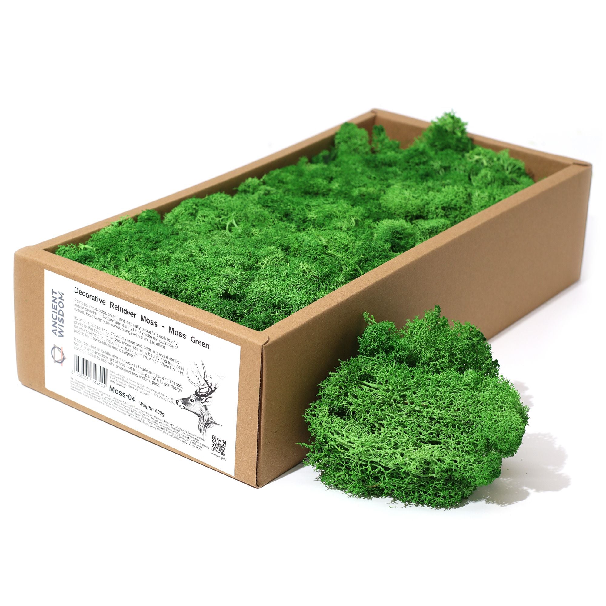 Decorative Reindeer Moss Moss Green – 1st Grade Preserved Moss for Crafts UK
